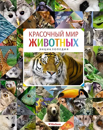 Кристин Балле Красочный мир животных