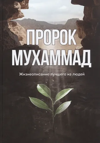 Ильдар Рифатович Аляутдинов Пророк Мухаммад. Жизнеописание лучшего из людей (обл.Росток)
