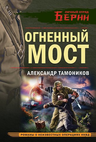 Александр Александрович Тамоников Огненный мост