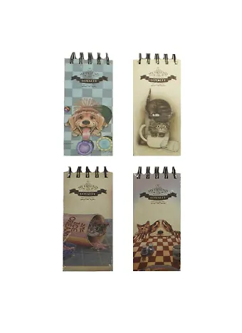 Блокнот А6- 120л 75*150 My Friend спираль, инд.уп, ассорти, Haich