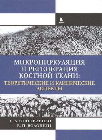Микроциркуляция и регенерация костной ткани: теоретические и клинические аспекты