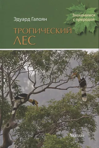 Эдуард Галоян Тропический лес