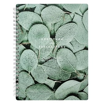 Тетрадь в клетку Be Smart, Botanica. Эвкалипт популус, 120 листов