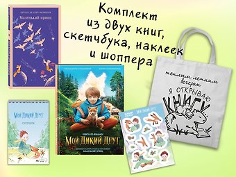 Антуан де Сент-Экзюпери, Геннадий Николаевич Калашников, Юлия Геннадьевна Соломатина Набор Мой дикий друг (набор из книги, наклеек, скетчбука с шоппером)