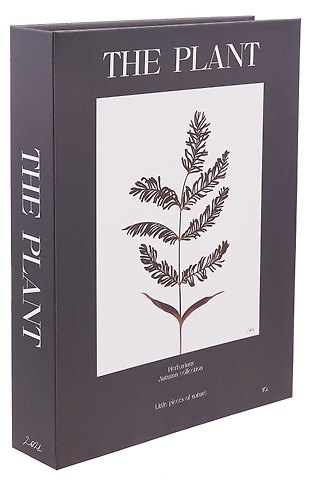 Коробка подарочная Растение 25*18*3,8 картон, на магните