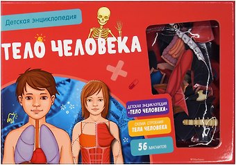 Адель Педрола Тело человека. Детская энциклопедия (нов.оф.) (в коробке)