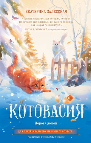 Екатерина Васильевна Залесская Котовасия. Дорога домой