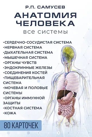 Рудольф Павлович Самусев Анатомия человека. 80 карточек. Все системы