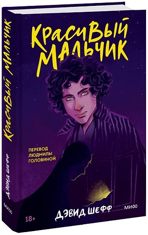 Дэвид Шефф Красивый мальчик