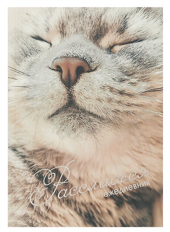 Ежедневник недатированный А5 128 листов, Расслабься, ламинация Soft Touch