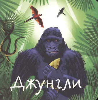 Анна Веркина Джунгли