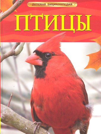 Джиллиан Догерти Птицы.