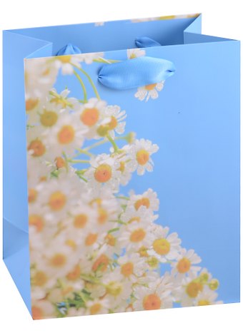 Пакет А5 23*18*10 Spring blossom жен., бум.мат.ламинат