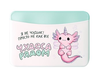 Чехол для карточек горизонтальный Аксолотль Чудеса рядом Я не чудик, просто не как все (ДКГ2024-138)