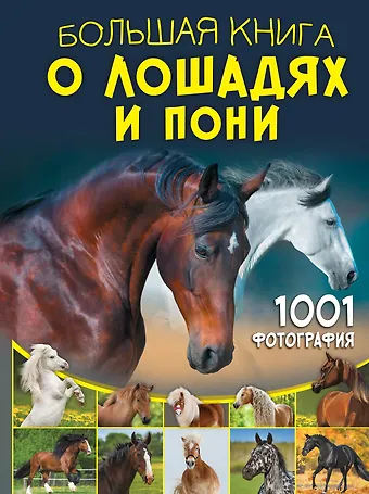 Анна Артуровна Спектор Большая книга о лошадях и пони. 1001 фотография