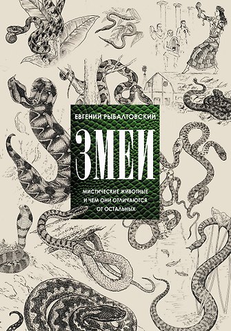 Евгений Михайлович Рыбалтовский Змеи. Мистические животные и чем они отличаются от остальных