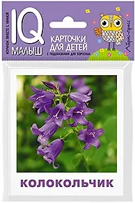 М. Малунова Умный малыш. Что растёт на клумбе?