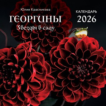 Календарь 2026г 300*300 Георгины. Звезды в саду настенный, на скрепке