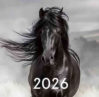 Календарь 2026г 300*290 Символ года, вид 1 настенный, на скрепке