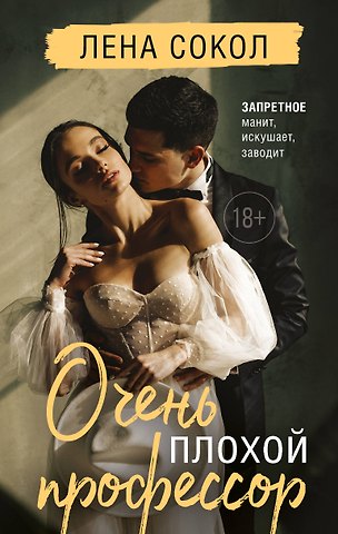 Лена Сокол Очень плохой профессор