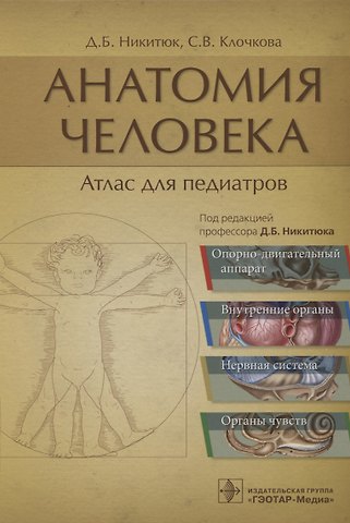 Дмитрий Борисович Никитюк, Светлана Валерьевна Клочкова Анатомия человека: атлас для педиатров