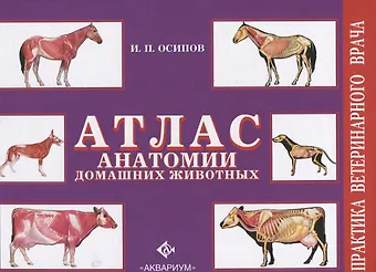 Атлас анатомии домашних животных