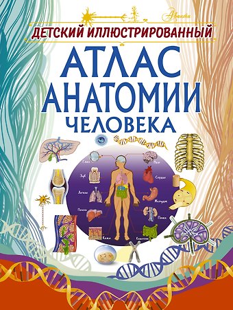 Анна Артуровна Спектор Детский иллюстрированный атлас анатомии человека