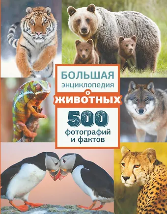 Вячеслав Владимирович Ликсо, Любовь Дмитриевна Вайткене, Елена Олеговна Карнилович Большая энциклопедия о животных. 500 фотографий и фактов