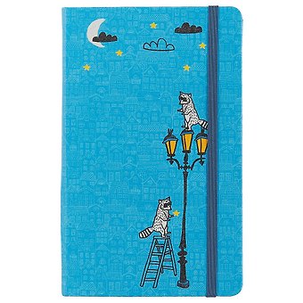 Книга для записей «Funny stories. Еноты», синяя, 96 листов, А5