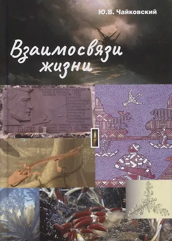 Юрий Викторович Чайковский Взаимосвязи жизни. Миниэнциклопедия дополняет. Том 1
