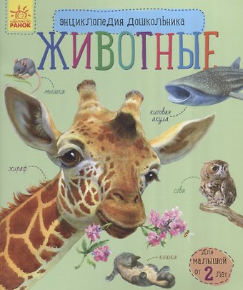 Юлия Владимировна Каспарова Животные