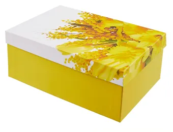 Коробка подарочная Мимоза 28,5*18,5*12см, , картон