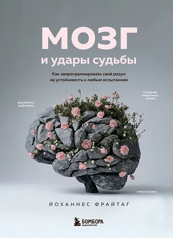 Йоханнес Фрайтаг Мозг и удары судьбы. Как запрограммировать свой разум на устойчивость к любым испытаниям
