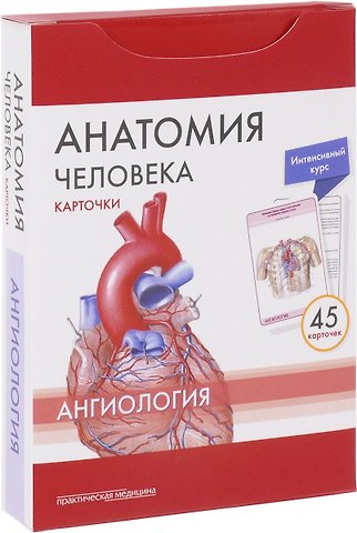 Михаил Романович Сапин Анатомия человека Ангиология (45 карт.) (упаковка) Сапин