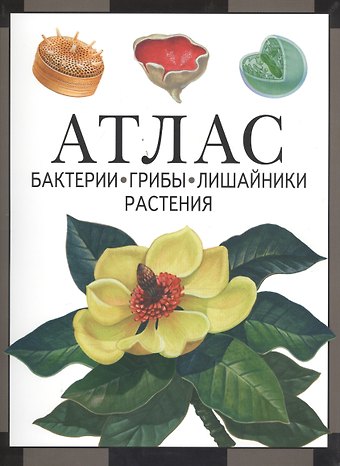 Иван Владимирович Черепанов Атлас. Бактерии, грибы, лишайники, растения