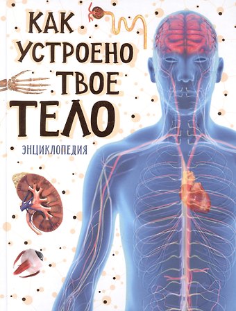 Томас Канаван Как устроено твое тело. Энциклопедия