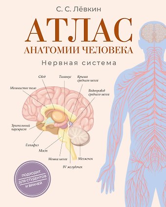 Лёвкин Сергей Сергеевич Атлас анатомии человека. Нервная система