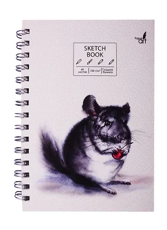 Скетчбук А5 60л SKETCHBOOK. Шиншилла, 120г/м2, софт. тач, евроспираль