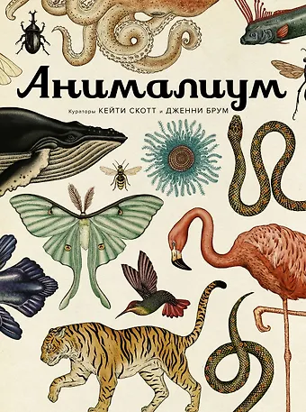 Дженни Брум Анималиум