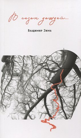 Владимир Александрович Зима В сезон дождей….