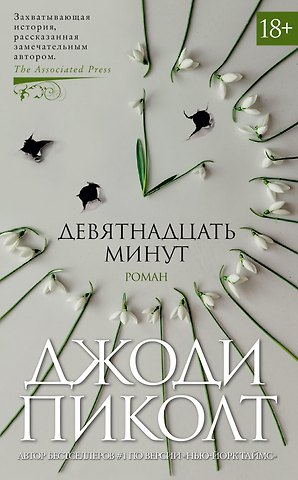 Джоди Пиколт Девятнадцать минут