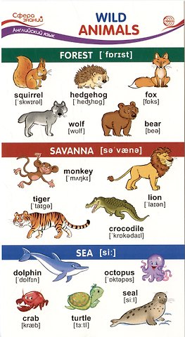Карточка-шпаргалка. Wild Animals (Дикие животные)