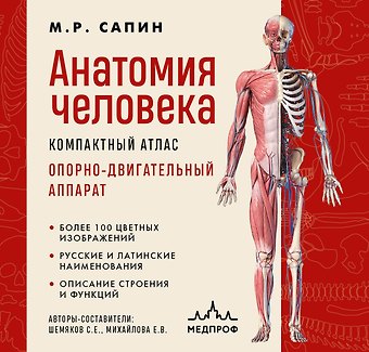 Михаил Романович Сапин Анатомия человека. Компактный атлас. Опорно-двигательный аппарат