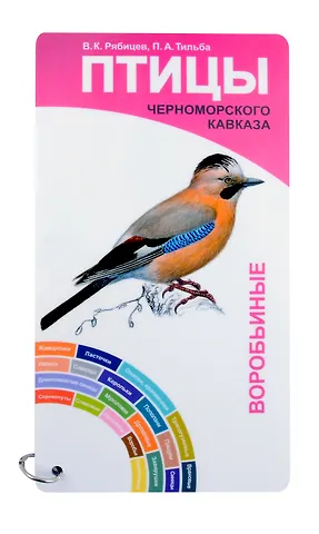 Вадим Константинович Рябицев Птицы Черноморского Кавказа. Вобьиные и неворобьиные