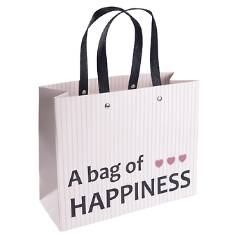 Пакет А4 24,5*19,5*9,5 A bag of happiness нейтр., бум.мат.ламинат