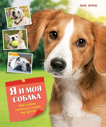 Я и моя собака. Как понять питомца и стать ему другом