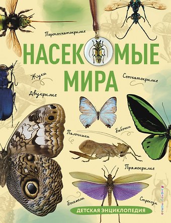 Андрей Владимирович Сочивко Насекомые мира. Детская энциклопедия