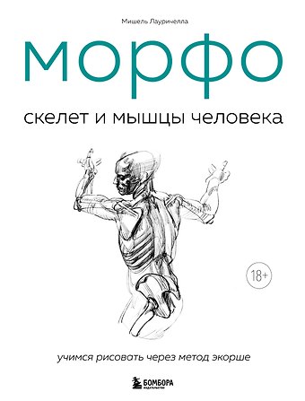 Мишель Лауричелла МОРФО. Скелет и мышцы человека. Анатомия для художников