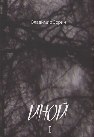 Владимир Зорин Иной