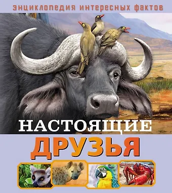 Илона Баголи Настоящие друзья
